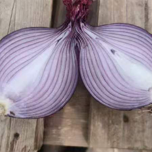 Bán buôn hữu cơ Trung Quốc trang trại tươi nguyên liệu da đỏ hành tây 3-6cm Kích thước 100% tinh khiết tự nhiên 10 kg/túi - Product Image 3