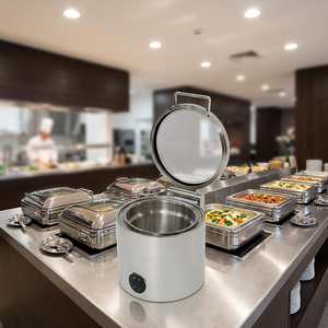 Recipiente para Buffet con Tapa Enrollable, sin Agua, para Calentar Alimentos en Seco, para Restaurantes, Servicios de Catering, Salones de Banquetes y Fiestas - Product Image 1