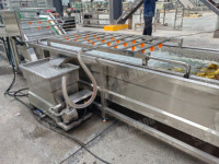 Ligne de machines automatiques de rinçage de cornichons pour la production de légumes déshydratés - Offre Spéciale