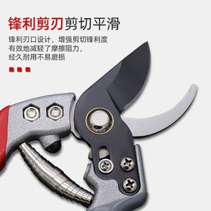 Nice <b>Pruning</b> Shears 6.5 In Stainless Steel Straight Head Garden <b>Tool</b> For Fruit <b>Trees</b> And Orchards - Product Image 2