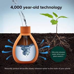 Olla classique grand pot d'irrigation à arrosage automatique en <span class=keywords><strong>terre</strong></span> <span class=keywords><strong>cuite</strong></span> pour les jardins lits surélevés utilisation au sol adaptée aux vacances - Product Image 6