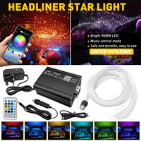 Luces ambientales LED de fibra óptica para techo de coche, 600 piezas, 12V CC, con efecto centelleante y control remoto por APP