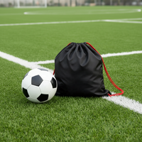 Sac à dos de sport personnalisé en polyester 210D 30L, grande capacité, pliable, réutilisable, portable, imperméable, écologique, pour une utilisation promotionnelle