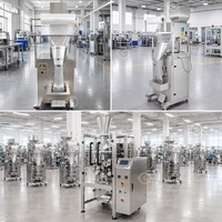 Mini Nut Sugar Gummy Packaging Soft Candy 10g 50g 500g Salt Granule Sachet Packing Machine in China