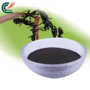 Hot selling high quality black ant extract 10:1 free sample