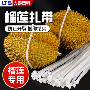 Cintas de Nylon Blancas Chcc Durian de 970mm y 650mm para Empaquetado de Durian - Product Image 1