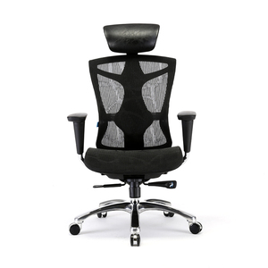 Chaise de bureau ergonomique en tissu AOR avec support dorsal en alliage d'aluminium - Hauteur réglable, roulettes silencieuses en PU, soutien lombaire adaptatif en TPR - Product Image 1