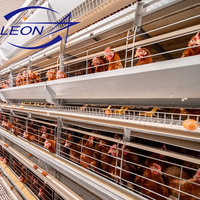 Système d'élevage en batterie de cages pour poules pondeuses de type H, série Leon