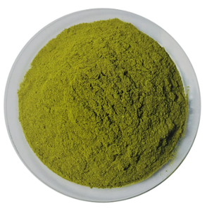 Cassia Angustifolia Senna Pods <b>Extract</b> Powder Spray Dried & Tray Dried Premium Botanical Plant <b>Extract</b> Bulk Supplier India - Product Image 1