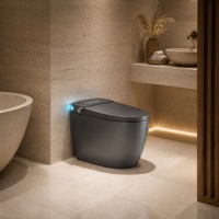 WC intelligent gris mat monobloc allongé sans réservoir avec bidet à chasse automatique, siège chauffant et écran LED pour salle de bain