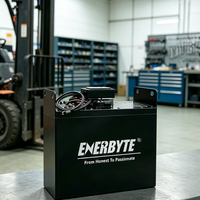 Batterie LiFePO4 haute capacité pour chariot élévateur, sans entretien, à charge rapide, 24V 48V 80V 100AH 210AH 220AH 230AH 315AH 420AH 525A 630AH