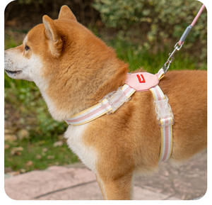 Harnais pour <span class=keywords><strong>chien</strong></span> en nylon réfléchissant et respirant, nouveau design 2026 HY, harnais de <span class=keywords><strong>chien</strong></span> de style gilet, laisse tendance pour animaux de compagnie, pour chiens de petite, moyenne et grande taille - Product Image 5