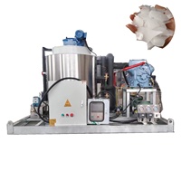 Máquina de Hielo en Escamas Haiyue de 5 Toneladas, Suministro de Fábrica, Máquina Industrial para Hacer Hielo en Escamas con Certificación CE, Máquina Comercial para Hacer Hielo en Escamas
