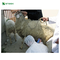 Snsek-HD56VET vétérinaire portable Instrument de test de grossesse vétérinaire pour chèvre de porc à usage domestique classe I