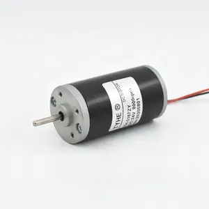 3157ZY 31mm 10 voltios 12V 19V 24 V 8000RPM 5000 rpm 2000rpm 10 vatios 7W 8W 0,1 kgcm DC tubular motor CE RoHs