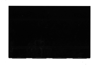 Écran d'ordinateur portable 15,1 pouces WQX FCC, panneau d'affichage OLED non tactile, moniteur d'ordinateur portable EF10QBC64.C 5D11T51553 FRU EDO