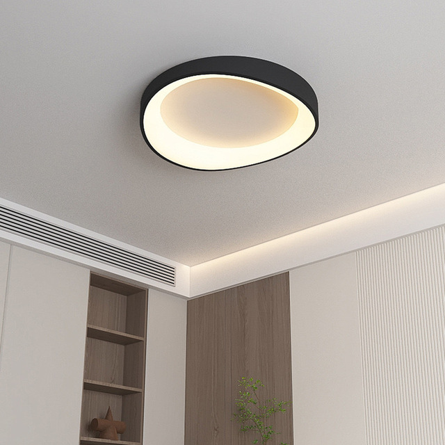 Modern Minimalist Design Curve Round Led Ceiling Lamp Suitable for Bedroom Ceiling Light