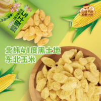 Cheese-Plan Paquete de 35g de Snacks de Grano Inflado Sin Grasas Trans, Sabor a Ajo Salado, Mezcla de Maíz y Queso, Textura Semiblanda, Listo para Servir, 12 Unidades