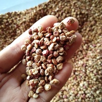 HL - Fournisseur Marocain d'Huiles de Figue de Barbarie & de Cactus, 1Kg, Huile de Pépins de Figue de Barbarie Pure en Vrac pour Hydratant Corporel | Extra Vierge