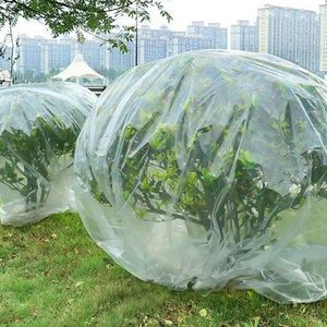 <b>Clear</b> <b>Plastic</b> Plant Cover 60x40 Inches Waterproof Garden Protection <b>Sheet</b> For Horticulture Use - Product Image 3