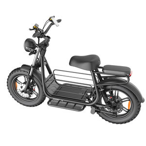 Huisdiervriendelijke Tweewieler 750W 1500W Motor Motorfiets Dikke Band Elektrische Scooter Voor Volwassene Met Grote Hond - Product Image 1