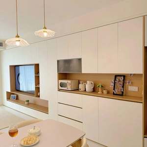 Customized Modern Light-Colored Wooden Living Room <b>Bedroom</b> <b>Storage</b> <b>Cabinet</b> Trendy Furniture Wardrobe - Product Image 1