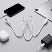 Câble de charge USB-C vers USB-C (type-C vers type-C) en PVC, longueur et dimensions personnalisables, fabrication OEM, prix bas.