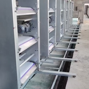 Jaula para Gallinas Ponedoras Tipo H de 4 Niveles Totalmente Automática - Product Image 5