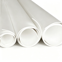 Feuille de PTFE expansé vierge EPTFE, plaque d'étanchéité industrielle flexible, taille personnalisée