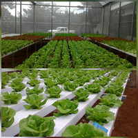 Système hydroponique complet en tunnels de tuyaux PVC, système hydroponique NFT pour légumes et laitues