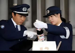 Envio Profissional DDP para Marrocos e FCL para o Porto de <span class=keywords><strong>Casablanca</strong></span> - Envio LCL para Marrocos com Logística de Ponta a Ponta - Product Image 5