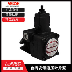 ปั๊มแวน Anson รุ่น Pvdf-3-35-3-35-10s แบบไฮดรอลิกปรับปริมาตรได้ พร้อมระบบชดเชยแรงดัน สำหรับใช้งานในอุตสาหกรรม - Product Image 5