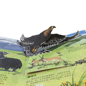 Động Vật Giáo Dục 3D Pop Lên Trẻ Em Cuốn Sách In Ấn Trẻ Em Của Tùy Chỉnh Pop PP Câu Chuyện Cuốn Sách Một Cửa Sổ Bật Lên Trẻ Em Sách - Product Image 2