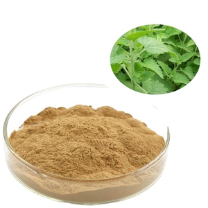 Certificado ISO <span class=keywords><strong>Catnip</strong></span> Catwort Catmint Nepeta Extracto Suministro de fábrica Fruta en polvo Cultivado salvaje Método de prueba UV - Product Image 1