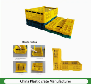 Contenitori in Plastica per Trasporto - Stoccaggio/Consegna di Frutta e Verdura - Settore Retail/Magazzino/Logistica/Industriale/Automotive - Product Image 3