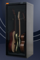 Gabinete inteligente de humedad constante para guitarra eléctrica, caja a prueba de humedad para guitarra, gabinete de mantenimiento con humedad constante