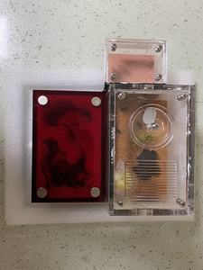 Nistkasten-Formicarium-Haus – Acryl-Ameisenzuchtnest mit 18-ml-Wasserturm, Erweiterungsanschluss & <span class=keywords><strong>Mini</strong></span>-<span class=keywords><strong>Terrarium</strong></span> für Schulwissenschaften - Product Image 4