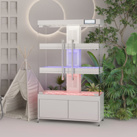 Système hydroponique jardinière en verre pour la culture