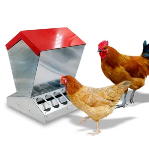 Attrezzatura per l'allevamento di pollame mangiatoia per pollame in acciaio zincato mangiatoia per polli in metallo di grande capacità