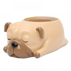 Blanco marrón lindo cachorro <span class=keywords><strong>perro</strong></span> escritorio interior <span class=keywords><strong>maceta</strong></span> suculenta - Product Image 1