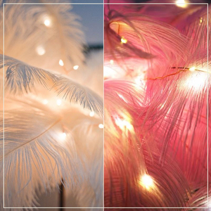 <span class=keywords><strong>Lampe</strong></span> <span class=keywords><strong>de</strong></span> bureau LED créative en plumes, Style <span class=keywords><strong>Tik</strong></span> <span class=keywords><strong>Tok</strong></span>, ambiance romantique, luminaire décoratif d'intérieur, idéal pour un parterre <span class=keywords><strong>de</strong></span> nuit - Product Image 5