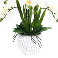 Plante de fleurs d'orchidées artificielles blanches de 70cm de haut avec pot en ciment