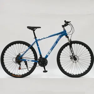 High Carbon Stahl Mountain Bicicleta Aro 29 Carbono Mountainbike Voll federung Fahrrad