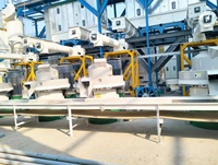 Línea de producción de pellets de biomasa grande de gran capacidad de China Proyecto de planta 10 A 12Tph Capacidad Línea de producción de pellets de madera para la venta