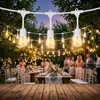 Guirlande lumineuse extérieure de 48 pieds avec ampoules LED S14 de qualité commerciale, connectables, incassables, étanches IP65, blanc chaud, E26/E27