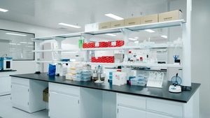 Fosfato Dicálcico de Grado Alimenticio DCP, Fuente Primaria de Calcio y Fósforo, Ingrediente Alimenticio Popular para Abastecimiento Global - Product Image 4