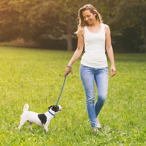KingHon Adjustable Neck 19-32cm Paw Printed <b>Dog</b> <b>Leash</b> Collar Durable Nylon <b>Dog</b> Chain Collars Cat <b>Leash</b> Outdoor Walking - Product Image 6