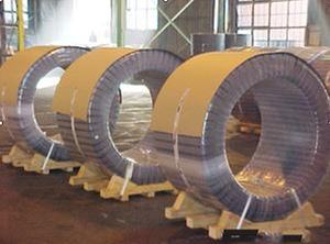 Flejes tejidos con cordón de poliéster de alta calidad para embalaje - Product Image 5