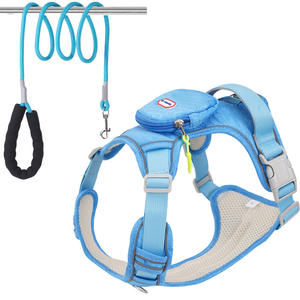 2025 meilleure vente chaude <span class=keywords><strong>harnais</strong></span> <span class=keywords><strong>pour</strong></span> chien réglable et collier de laisse avec matière première de qualité supérieure en plein air <span class=keywords><strong>pour</strong></span> chiens et animaux de compagnie - Product Image 3