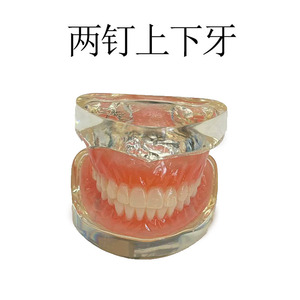Modèle d'implant dentaire maxillaire et mandibulaire à 2 ou 4 vis en silicone médical pour la formation dentaire - Product Image 3